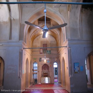 related image